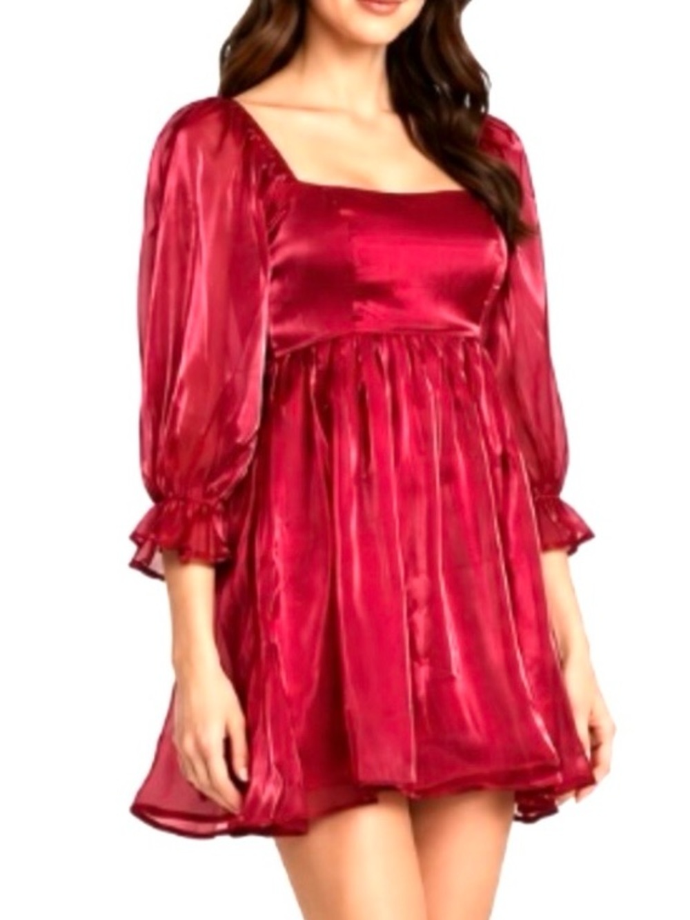 NEW Thirty/Thirty LA Shimmer Organza Babydoll Mini Dress M NWT